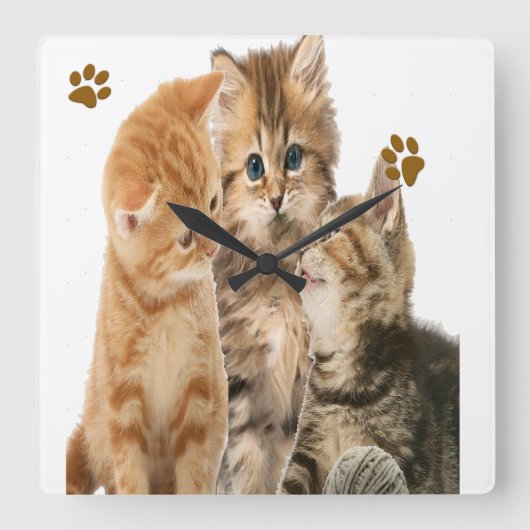 kittens klok (Voorkant)