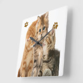 kittens klok (Hoek)