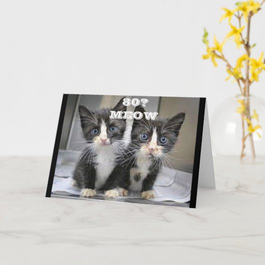 KITTENS KUNNEN NIET GELOVEN DAT JE *80* VERJAARDAG KAART (Gele Bloem)