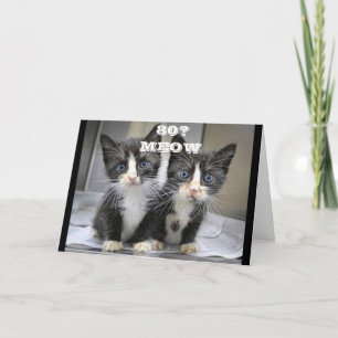 KITTENS KUNNEN NIET GELOVEN DAT JE *80* VERJAARDAG KAART