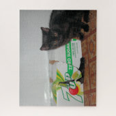 Kittens Legpuzzel (Verticaal)