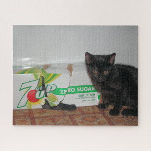 Kittens Legpuzzel