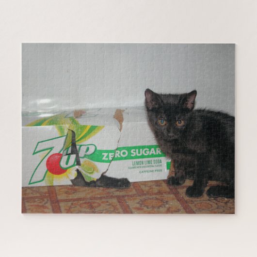 Kittens Legpuzzel (Horizontaal)