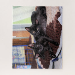 Kittens Legpuzzel