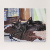 Kittens Legpuzzel (Horizontaal)