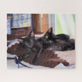 Kittens Legpuzzel