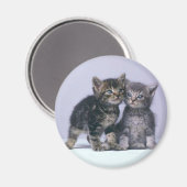 kittens magneet (Voorkant / Achterkant)