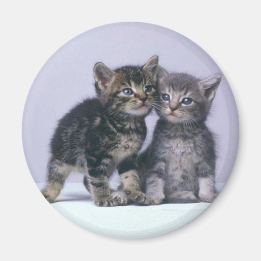 kittens magneet (Voorkant)