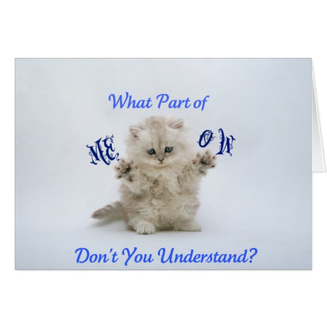 Kittens Meow Attitude (Voorkant Horizontaal)