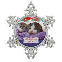 Kittens met een rode kerstkerstmis 20XX