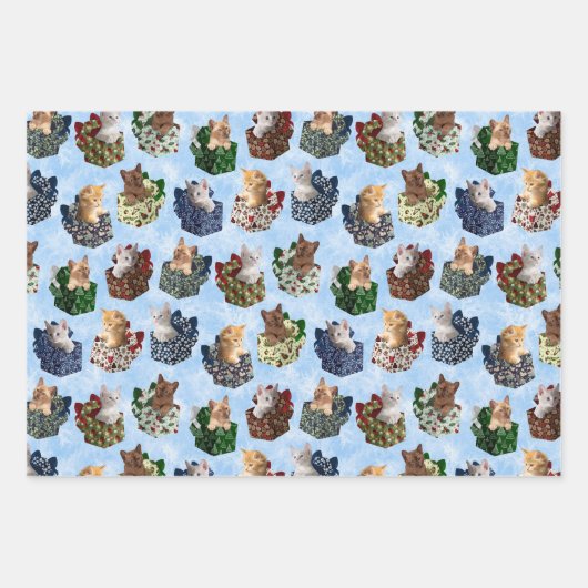 Kittens met kerst in cadeaudozen inpakpapier vel (Voorkant)
