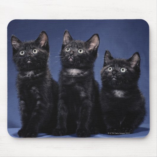 Kittens Muismat (Voorkant)