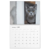 Kittens Muurkalender - HAMbyWG Kalender (Jan 2027)