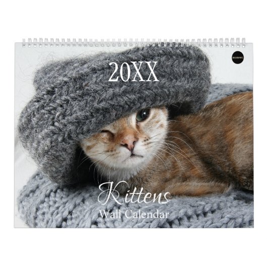 Kittens Muurkalender - HAMbyWG Kalender (Hoes)