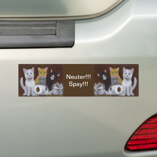 Kittens Neuter Spay Bumpersticker (Op auto)