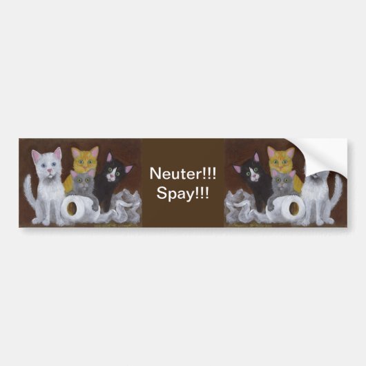 Kittens Neuter Spay Bumpersticker (Voorkant)