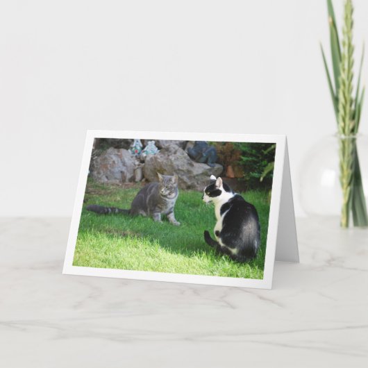 Kittens op Grass Kaart (Voorkant)