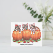 Kittens op pompoenen voor Halloween Briefkaart (Staand voorkant)