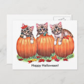 Kittens op pompoenen voor Halloween Briefkaart (Voorkant / Achterkant)