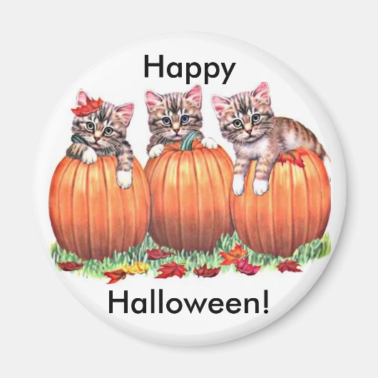 Kittens op pompoenen voor Halloween Button Magneet (Voorkant)