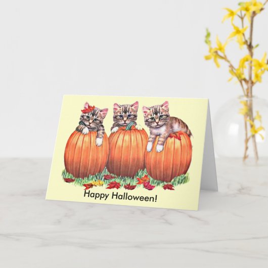 Kittens op pompoenen voor Halloween Kaart (Gele Bloem)