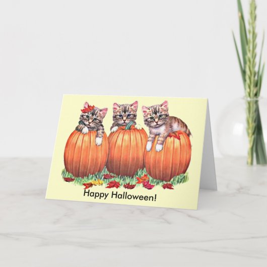Kittens op pompoenen voor Halloween Kaart (Voorkant)