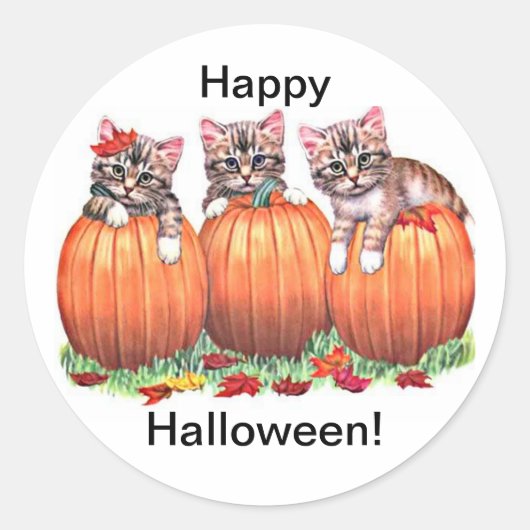 Kittens op pompoenen voor Halloween Stickers (Voorkant)