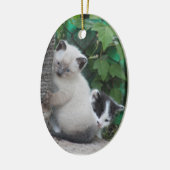 Kittens-ornament Keramisch Ornament (Links)
