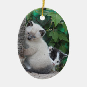 Kittens-ornament Keramisch Ornament