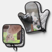 Kittens Ovenwant & Pannenlap Set (Voorkant / Achterkant)