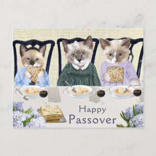 Kittens Passover Briefkaart