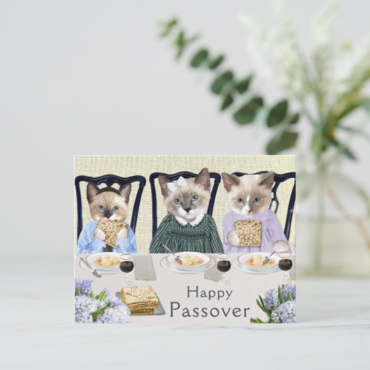 Kittens Passover Briefkaart (Staand voorkant)
