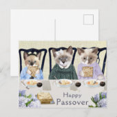 Kittens Passover Briefkaart (Voorkant / Achterkant)