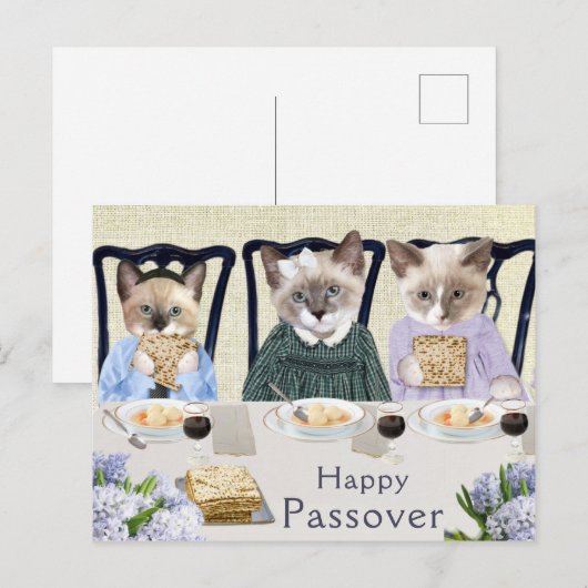 Kittens Passover Briefkaart (Voorkant / Achterkant)