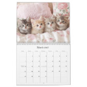  Kittens Pastel Roze 2026 Wandkalender Kalender (Mar 2027)