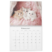  Kittens Pastel Roze 2026 Wandkalender Kalender (Feb 2027)