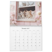  Kittens Pastel Roze 2026 Wandkalender Kalender (Jan 2027)