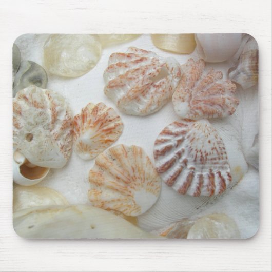Kitten's Paw Seashells Muismat (Voorkant)