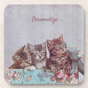 Kittens personaliseren in doos bier onderzetter