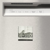 Kittens Pianospelen Magneet (Insitu (Vaatwasser))