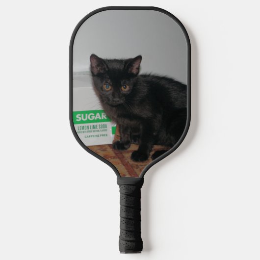 Kittens Pickleball Paddle (Voorkant)