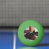 Kittens Pingpongbal (Net)