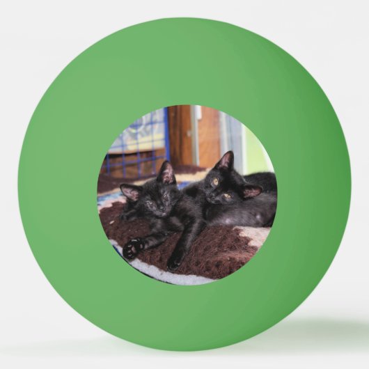 Kittens Pingpongbal (Voorkant)