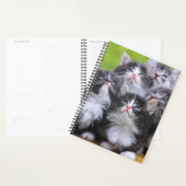 Kittens Planner (Display)