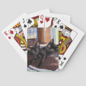 Kittens Pokerkaarten (Achterkant)