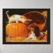 Kittens, Pompoen en Puppy Print (Voorkant)