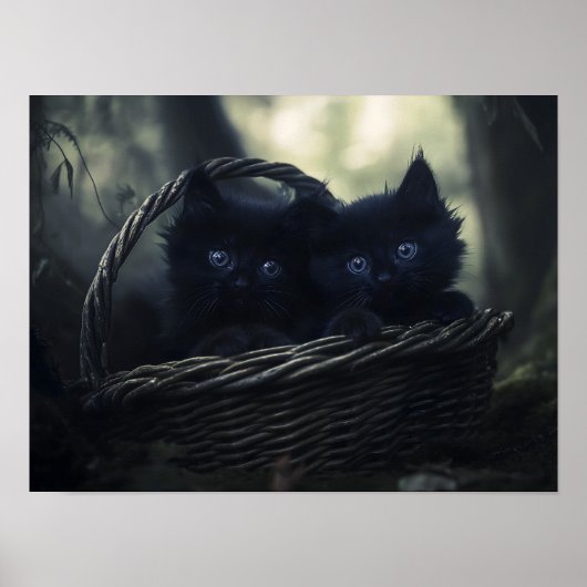 Kittens Poster (Voorkant)