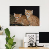 Kittens Poster (Thuiskantoor)