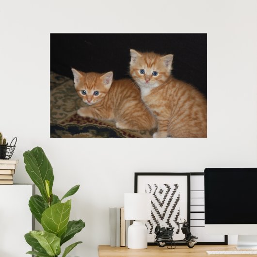 Kittens Poster (Thuiskantoor)