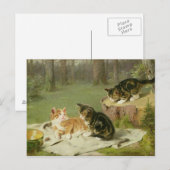 Kittens Pspelen Briefkaart (Voorkant / Achterkant)